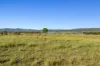 Glen Esk Road, Glen Esk, Qld 4312-Image