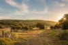 Gowrie Station, Gowrie Junction, Qld 4352-Image