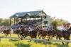 Grinter Place, Lockhart, NSW 2656-Image
