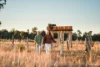 Grinter Place, Lockhart, NSW 2656-Image