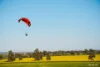 Grinter Place, Lockhart, NSW 2656-Image