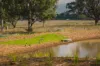 Gundy Road, Scone, NSW 2337-Image