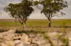 Gundy Road, Scone, NSW 2337-Image