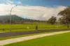 Gundy Road, Scone, NSW 2337-Image
