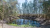 L107 Innamincka Way, Agnes Water, Qld 4677-Image