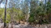 L107 Innamincka Way, Agnes Water, Qld 4677-Image