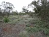 Lake View Dr, Hopetoun, Vic 3396-Image