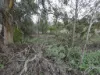 Lake View Dr, Hopetoun, Vic 3396-Image