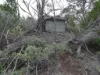 Lake View Dr, Hopetoun, Vic 3396-Image