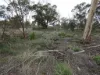 Lake View Dr, Hopetoun, Vic 3396-Image