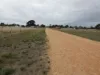 Loats St, Minyip, Vic 3392-Image