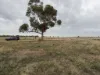 Loats St, Minyip, Vic 3392-Image