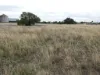 Loats St, Minyip, Vic 3392-Image
