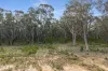 Lot 1, 1318 Joadja Road, Joadja, NSW 2575-Image