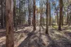 Lot 1, 187 Ti Tree Road, Dunnstown, Vic 3352-Image