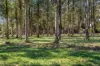 Lot 1, 187 Ti Tree Road, Dunnstown, Vic 3352-Image