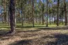 Lot 1, 187 Ti Tree Road, Dunnstown, Vic 3352-Image