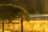 Lot 1 & 2, 215 Valley Drive, Doonan, Qld 4562-Image