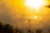 Lot 1 & 2, 215 Valley Drive, Doonan, Qld 4562-Image