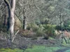 Lot 1, 2 & 3, Swamp Road, Franklin, Tas 7113