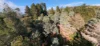 Lot 1, 2 & 3, Swamp Road, Franklin, Tas 7113-Image