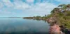 Lot 1 & 2, Badger Corner Road, Lady Barron, Tas 7255-Image