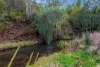 Lot 1 & 2, Bakers Road, Mount Colliery, Qld 4370-Image