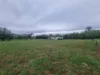 Lot 1 & 2, Mount Street, Coolac, NSW 2727-Image