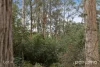 Lot 1-3, 145 Slatterys Road, Electrona, Tas 7054-Image
