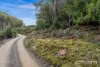 Lot 1-3, 145 Slatterys Road, Electrona, Tas 7054-Image