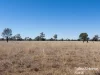 Lot 1-5, Richardsons Lane, Roma, Qld 4455-Image