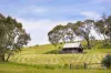 Lot 1, 84 Morgantis Road, Eganstown, Vic 3461-Image