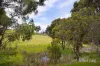 Lot 1, 84 Morgantis Road, Eganstown, Vic 3461-Image