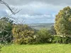 Lot 1, 978 Springhill Road, Tylden, Vic 3444-Image