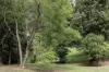 Lot 1 Allinga Street, Mount Lofty, Qld 4350-Image