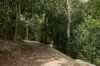Lot 1 Allinga Street, Mount Lofty, Qld 4350-Image