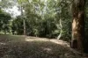 Lot 1 Allinga Street, Mount Lofty, Qld 4350-Image