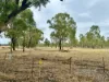 Lot 1, Basin Road, Tarnook, Vic 3670