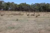 Lot 1, Basin Road, Tarnook, Vic 3670-Image