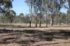 Lot 1, Basin Road, Tarnook, Vic 3670-Image