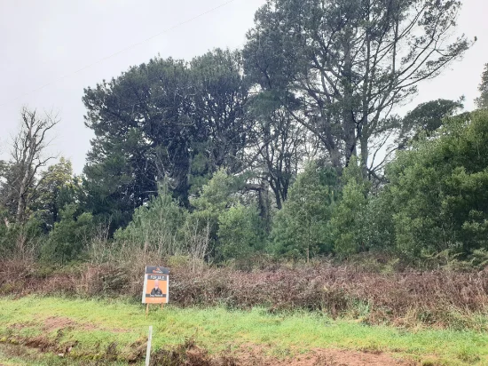 Lot 1, Beulah, Beulah, Tas 7306