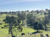 Lot 1, Brinkworth Range Road, Tungkillo, SA 5236