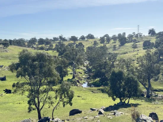 Lot 1, Brinkworth Range Road, Tungkillo, SA 5236