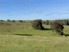 Lot 1, Brinkworth Range Road, Tungkillo, SA 5236-Image