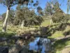 Lot 1, Brinkworth Range Road, Tungkillo, SA 5236-Image