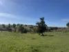 Lot 1, Brinkworth Range Road, Tungkillo, SA 5236-Image