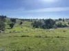 Lot 1, Brinkworth Range Road, Tungkillo, SA 5236-Image