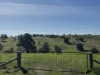 Lot 1, Brinkworth Range Road, Tungkillo, SA 5236-Image