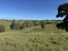 Lot 1, Brinkworth Range Road, Tungkillo, SA 5236-Image
