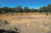 Lot 1 Calder Highway, Big Hill, Vic 3555-Image